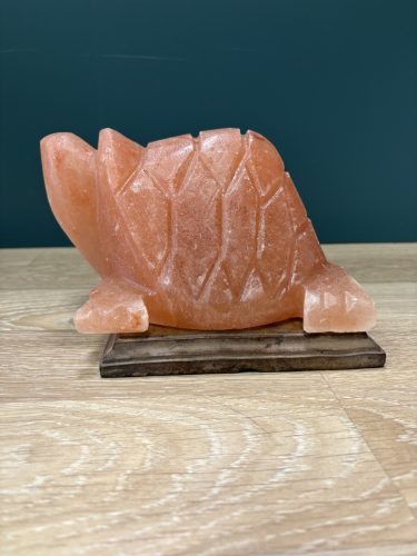 Teknősbéka sólámpa