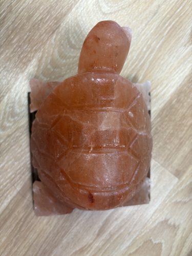 Teknősbéka sólámpa