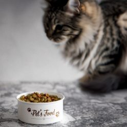 HOMLA  DINGO fém állateledel tál 0,5 l