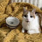 HOMLA CATTY fehér tál fém állványon 12 cm