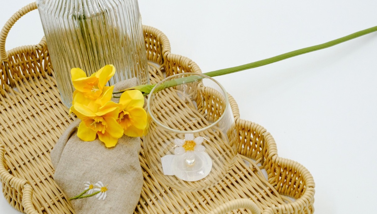 Készülj velünk a nyári szünetre